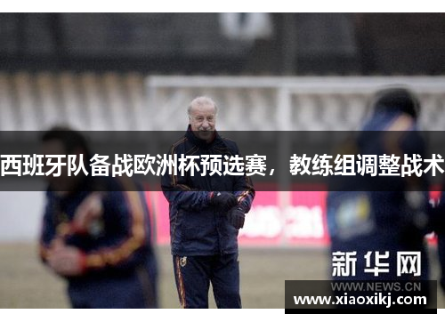 西班牙队备战欧洲杯预选赛，教练组调整战术